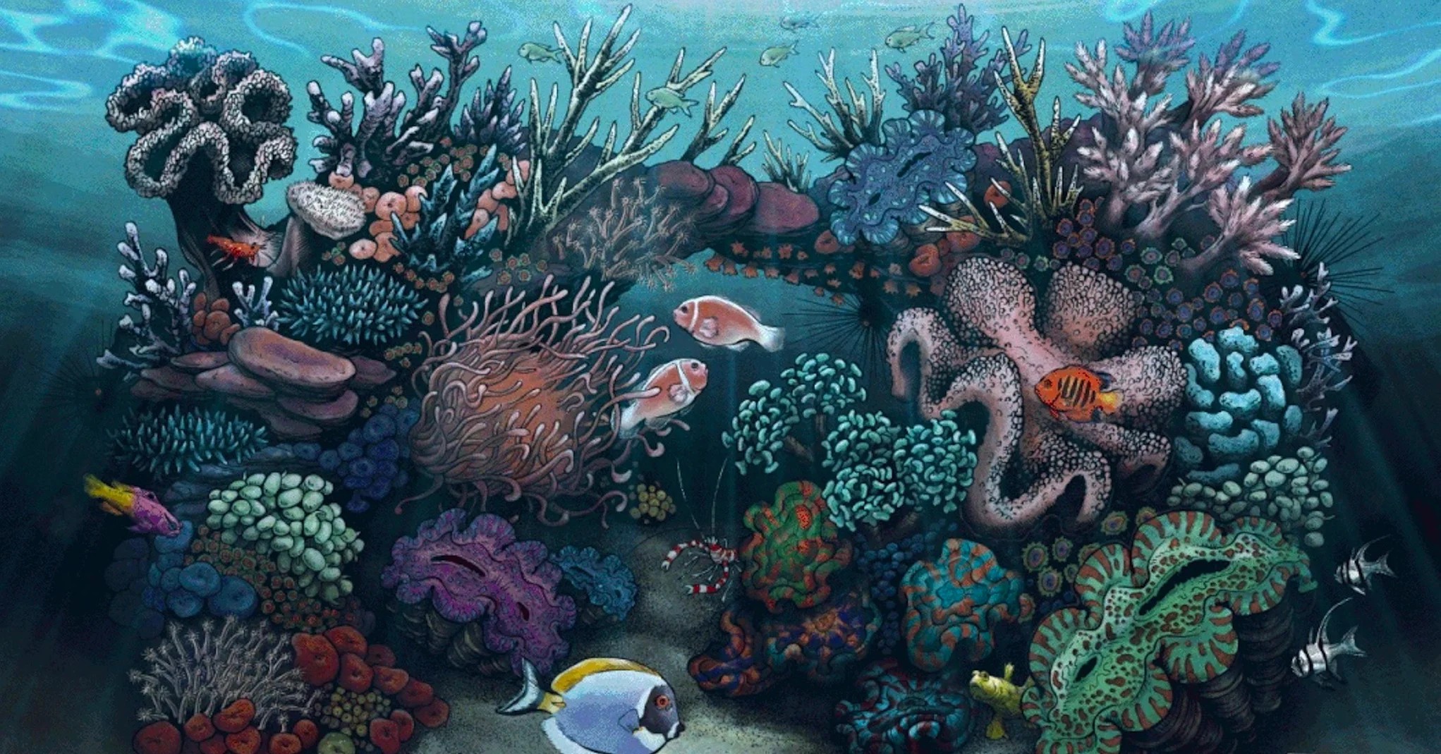 Masterpieces of Nature and Reef